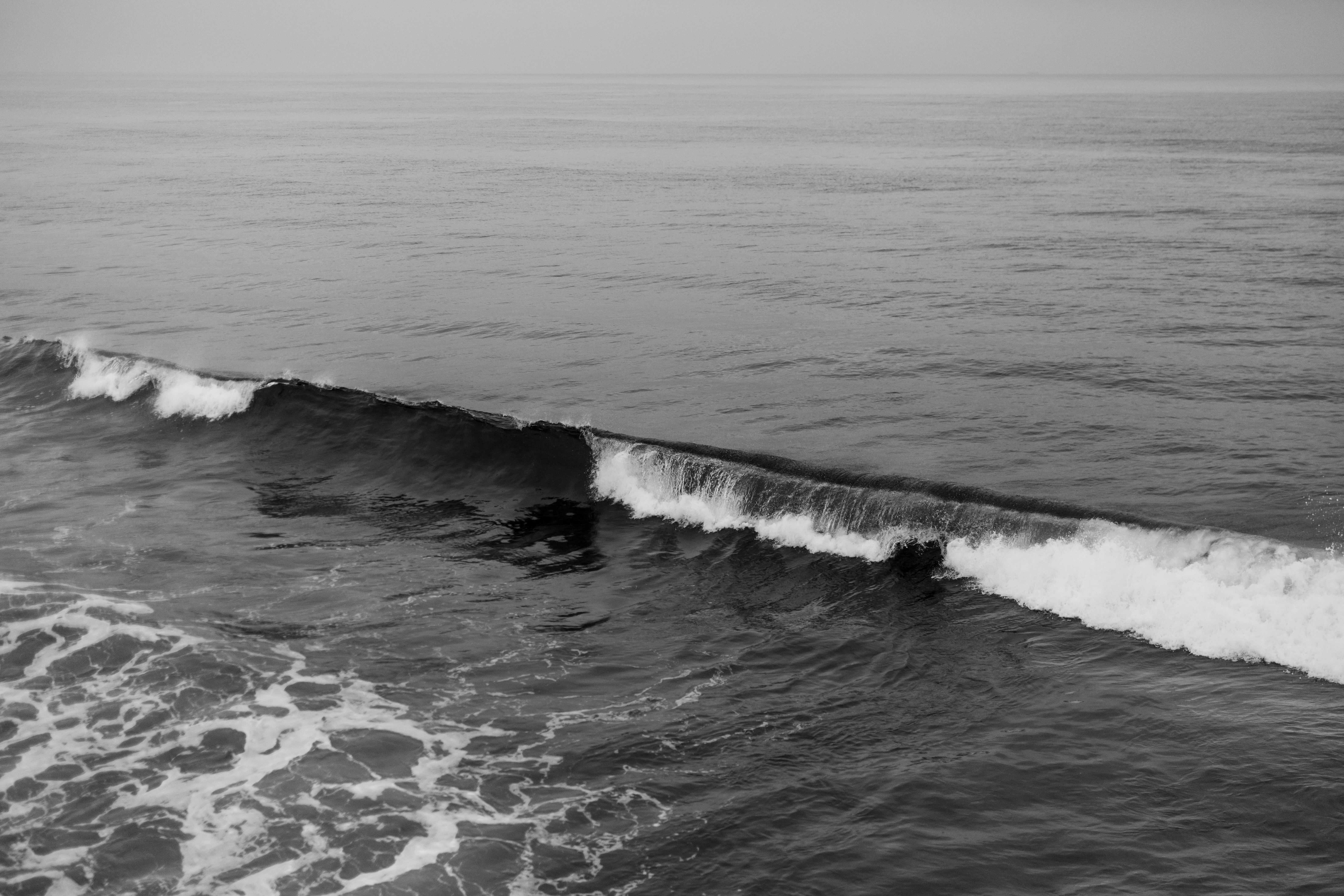 Photo by nate_dumlao