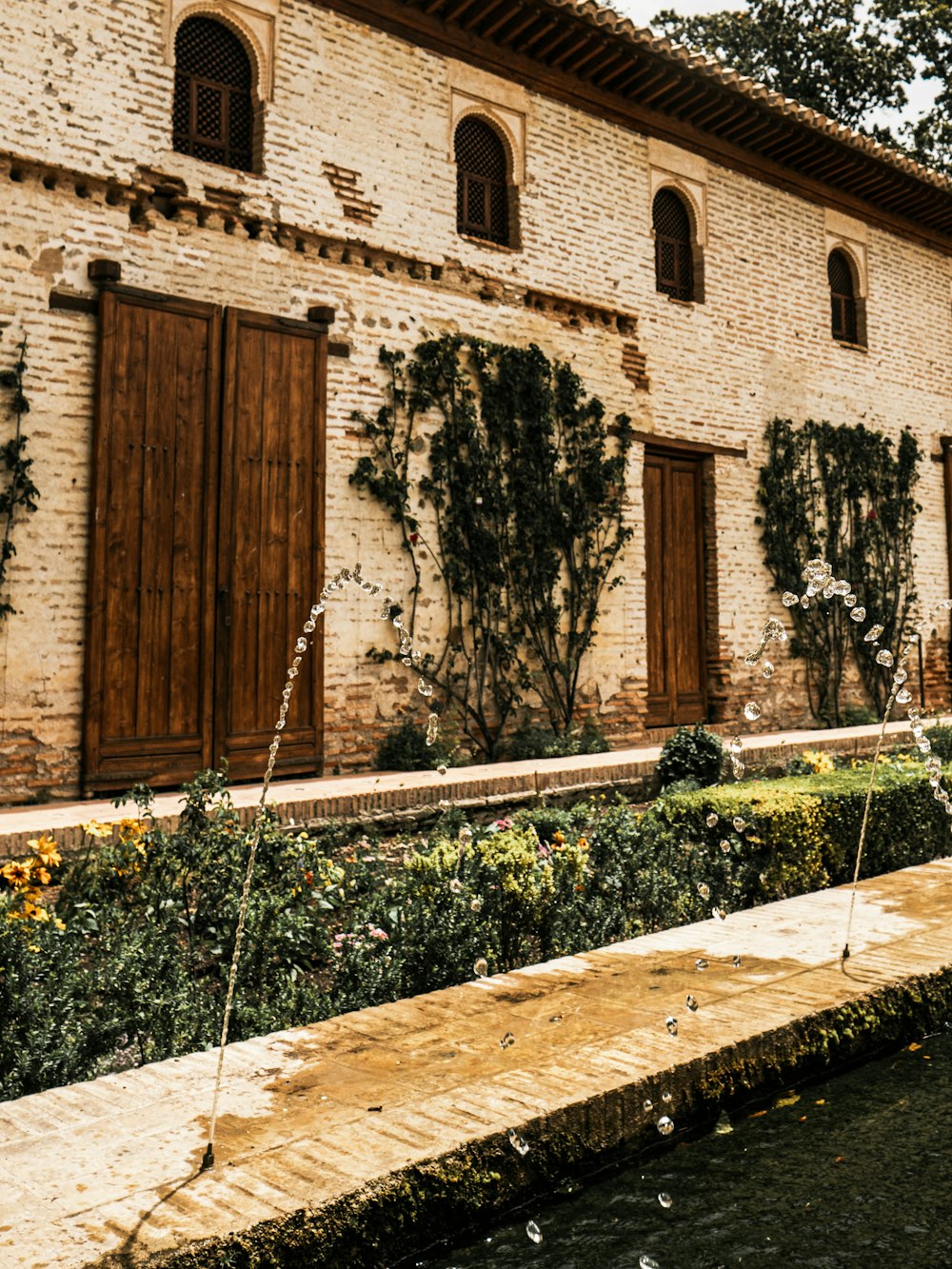 brown wooden door near green plants during daytime