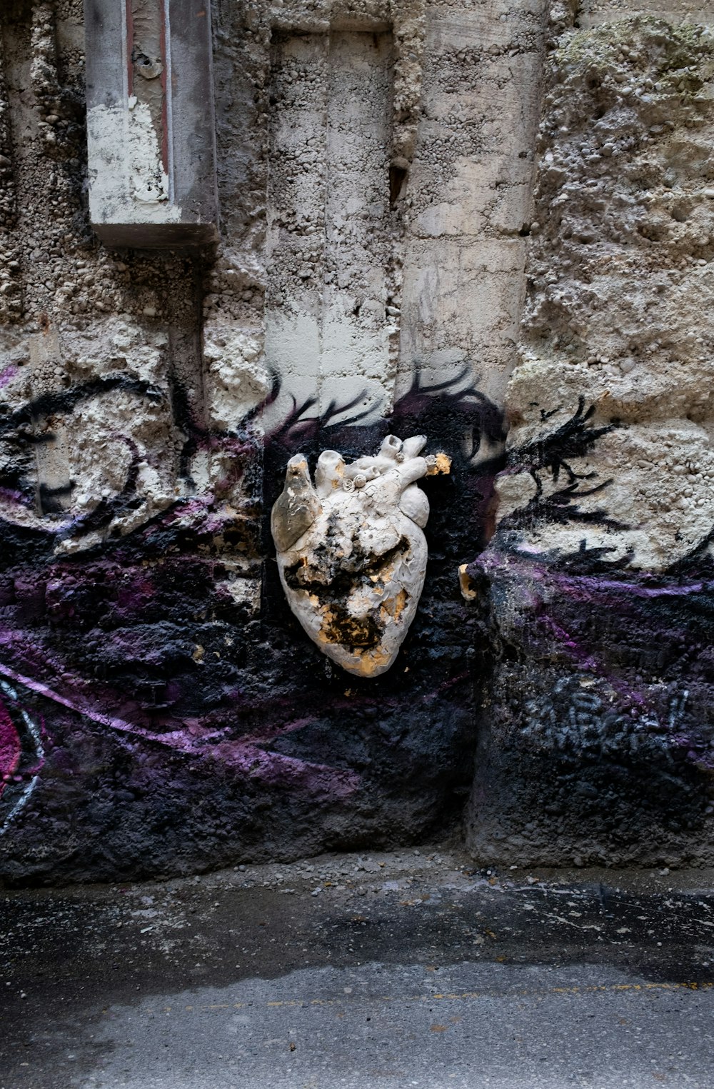 white and black animal skull on brown rock