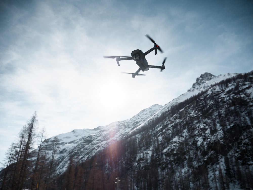 black and white bird flying over snow covered mountain during daytime