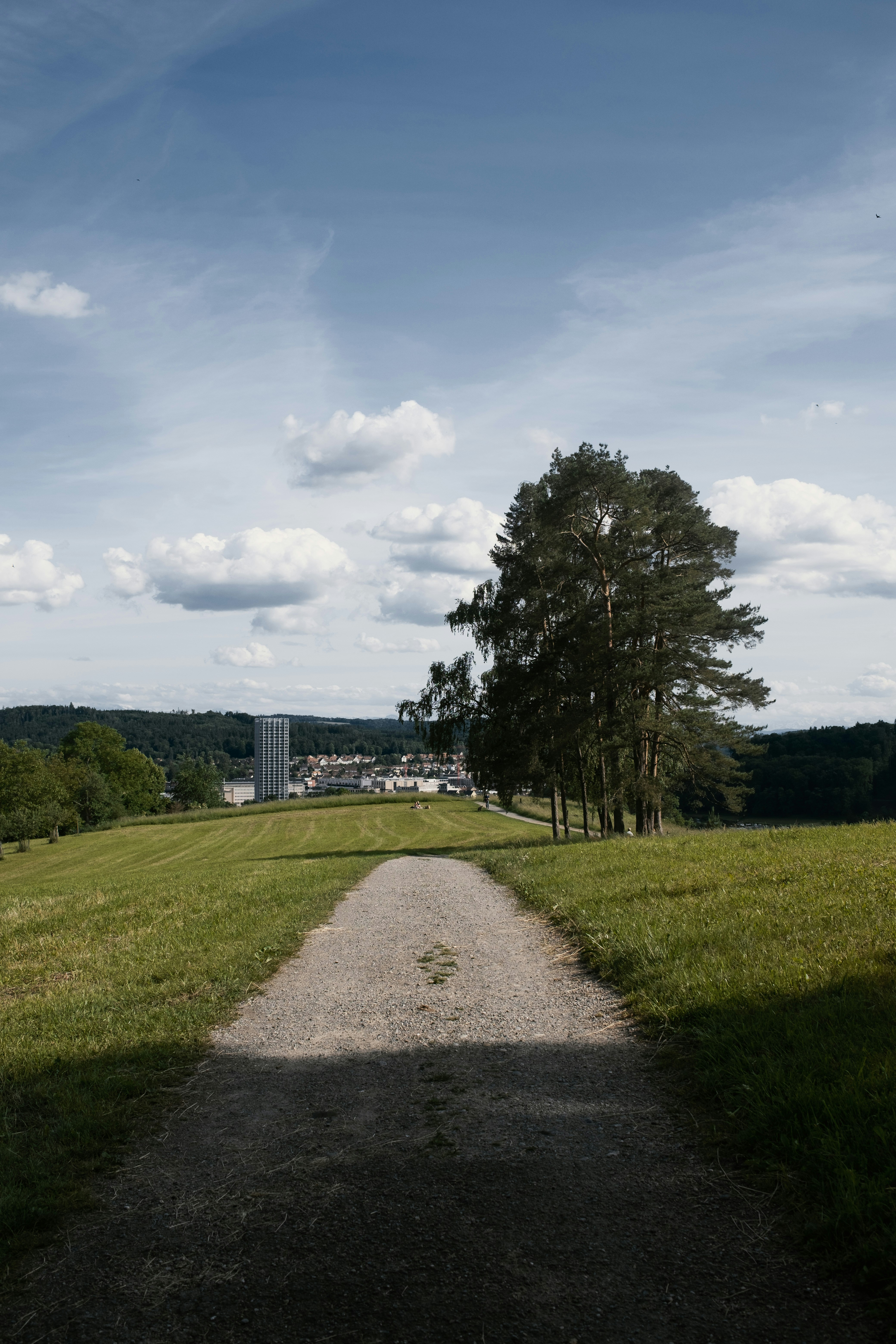 Grünes Grasfeld mit Bäumen unter weißen Wolken und blauem Himmel tagsüber