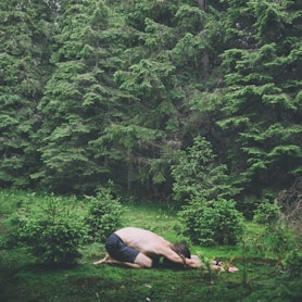 person lying on brown rock in the middle of green trees