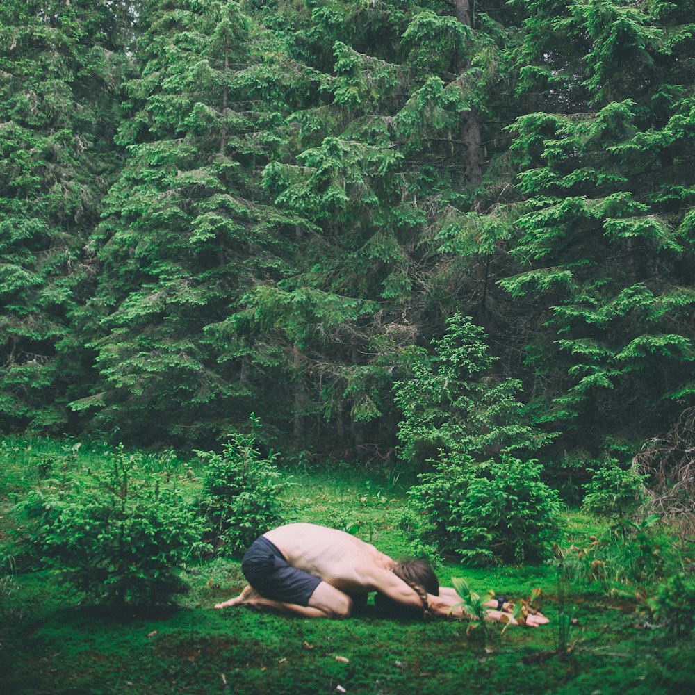 person lying on brown rock in the middle of green trees