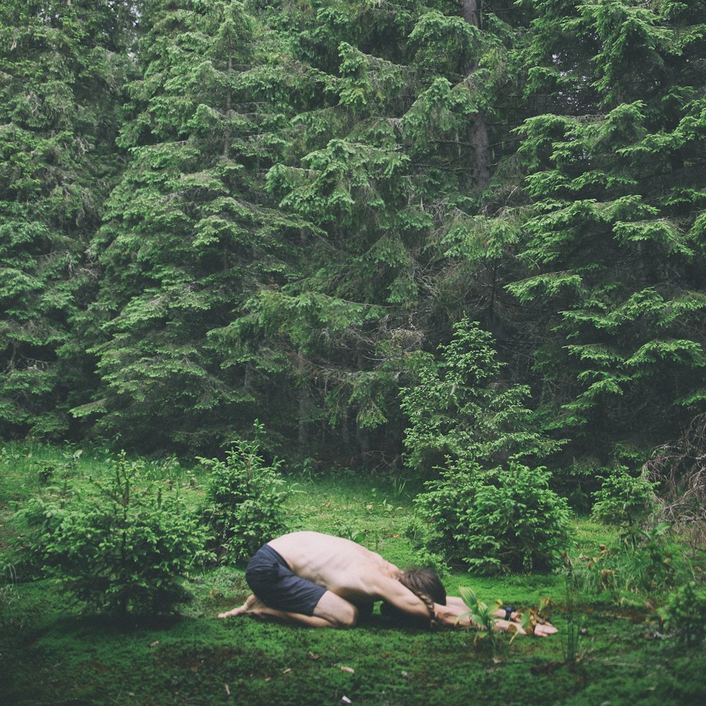 person lying on brown rock in the middle of green trees