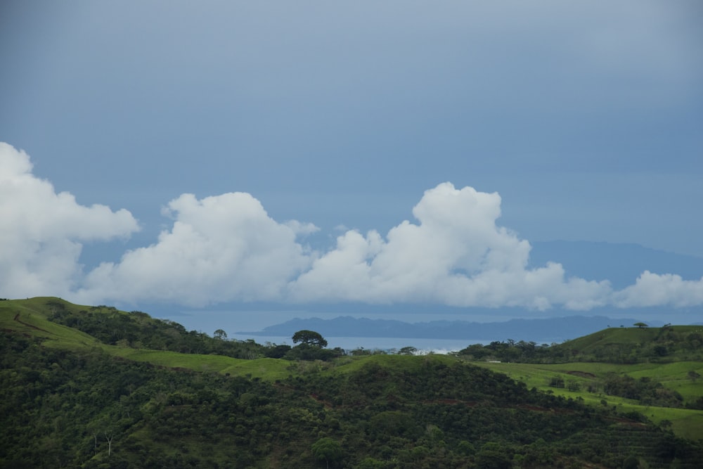 green grass field under white clouds and blue sky during daytime