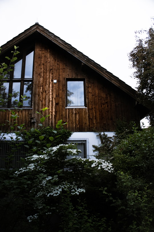 brown wooden house with green plants in Bayern Germany