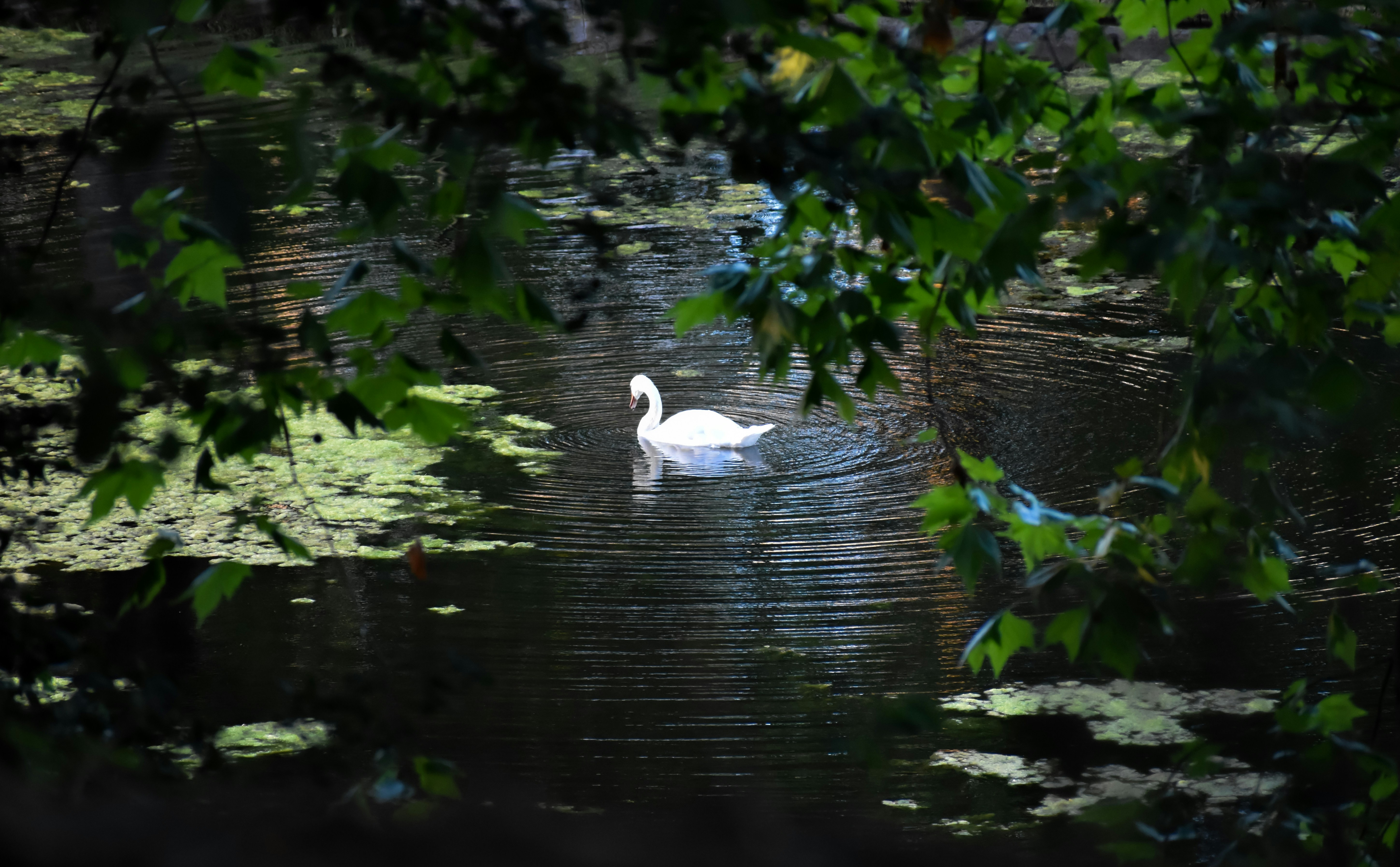 Photo by rachsamphotos