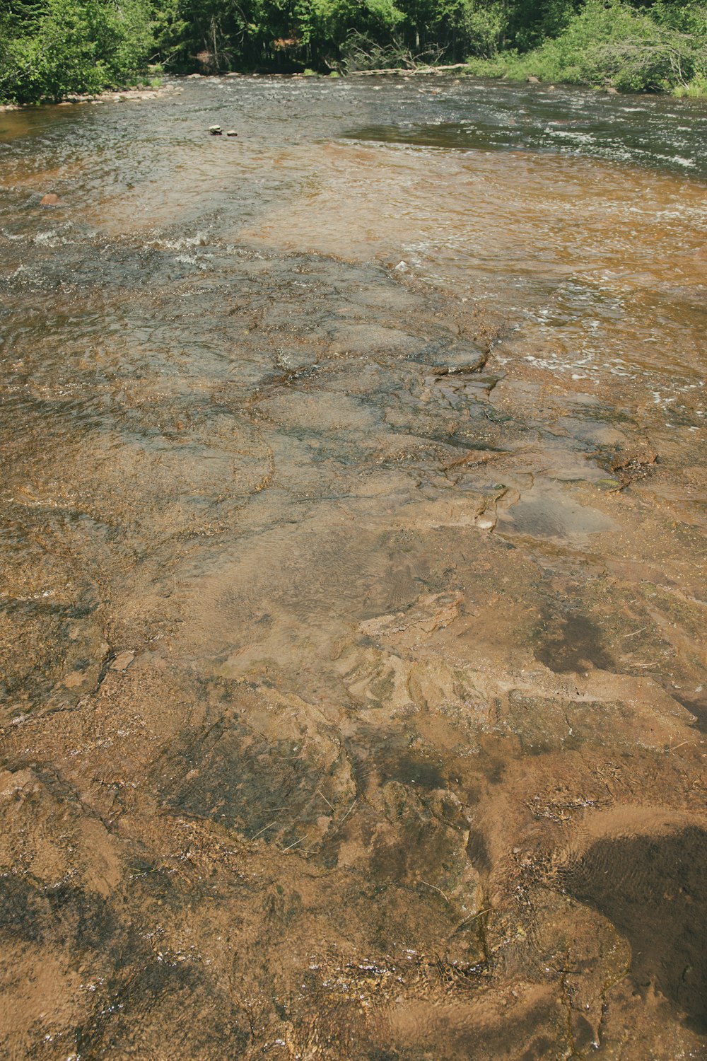 arena marrón y gris durante el día