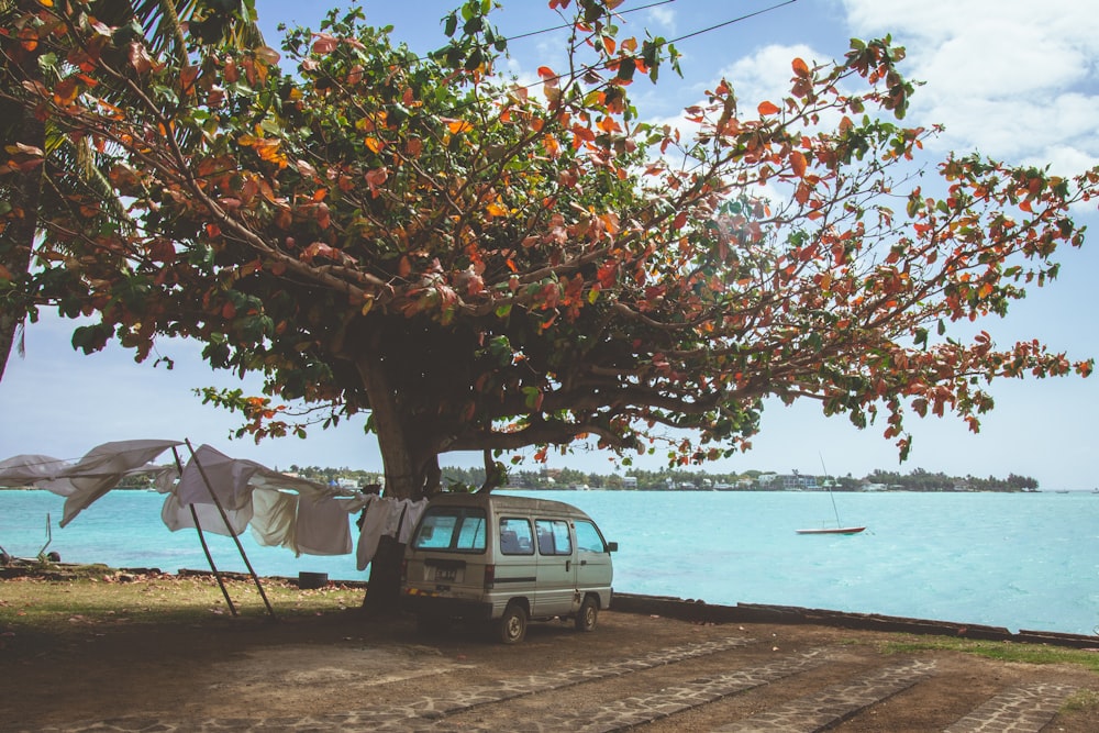 blue van parked beside tree