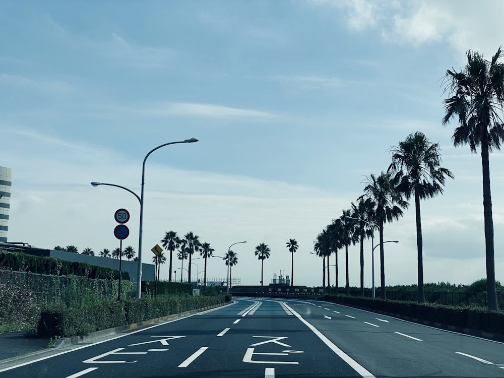 black asphalt road between palm trees during daytime