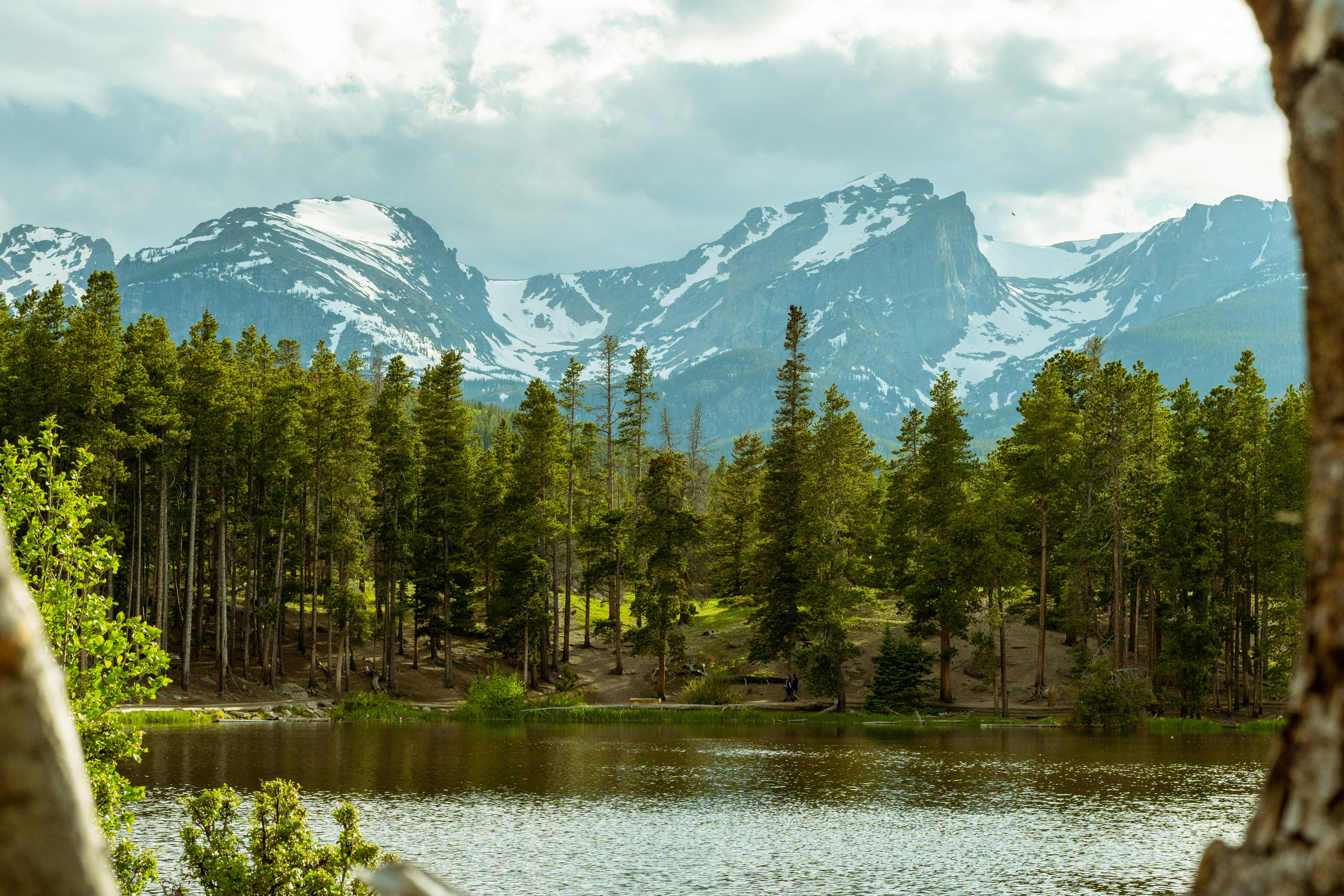 Photo by tommygarritty