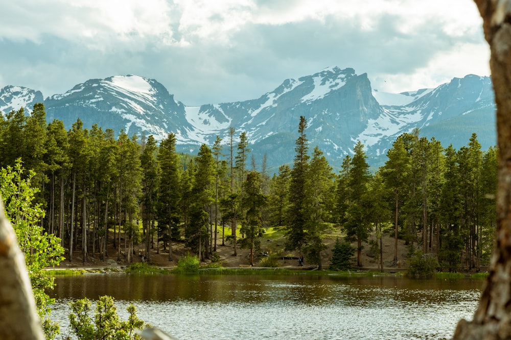 green trees near lake and snow covered mountain during daytime