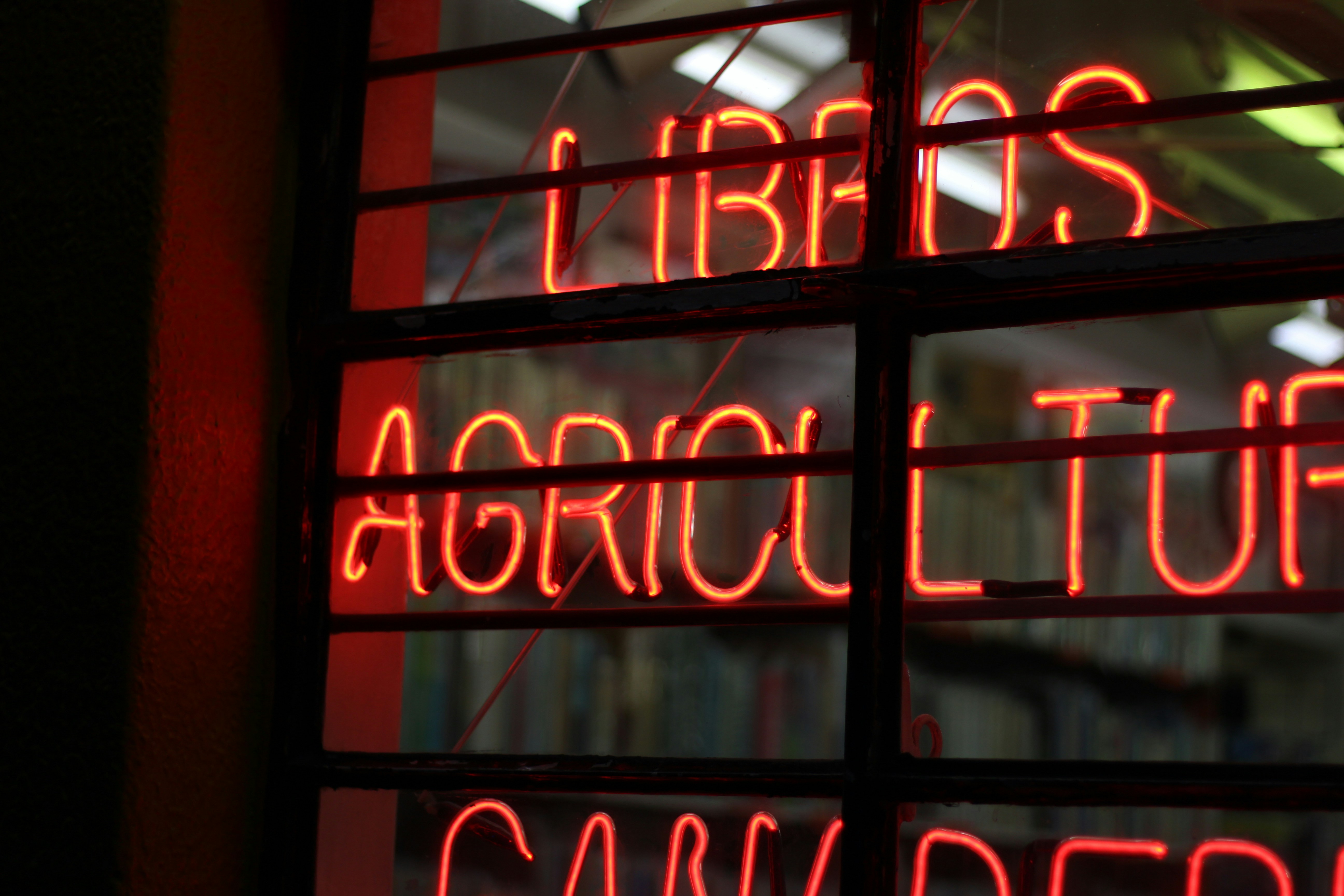 red and white open neon signage