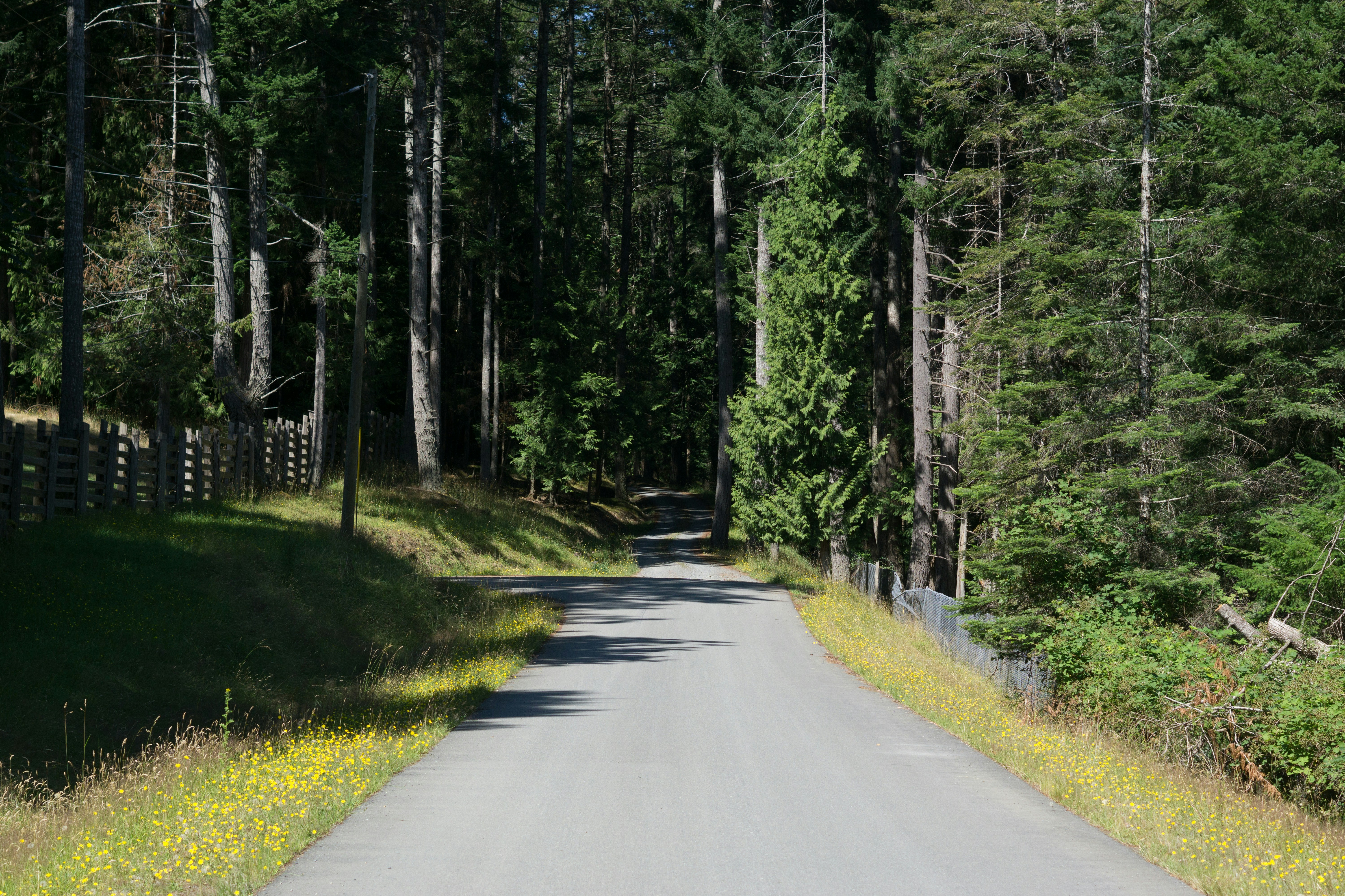 Photo by monkeymarango