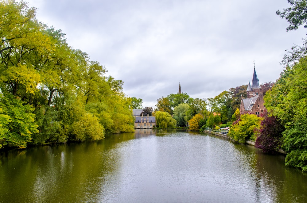 green trees beside river under white sky during daytime