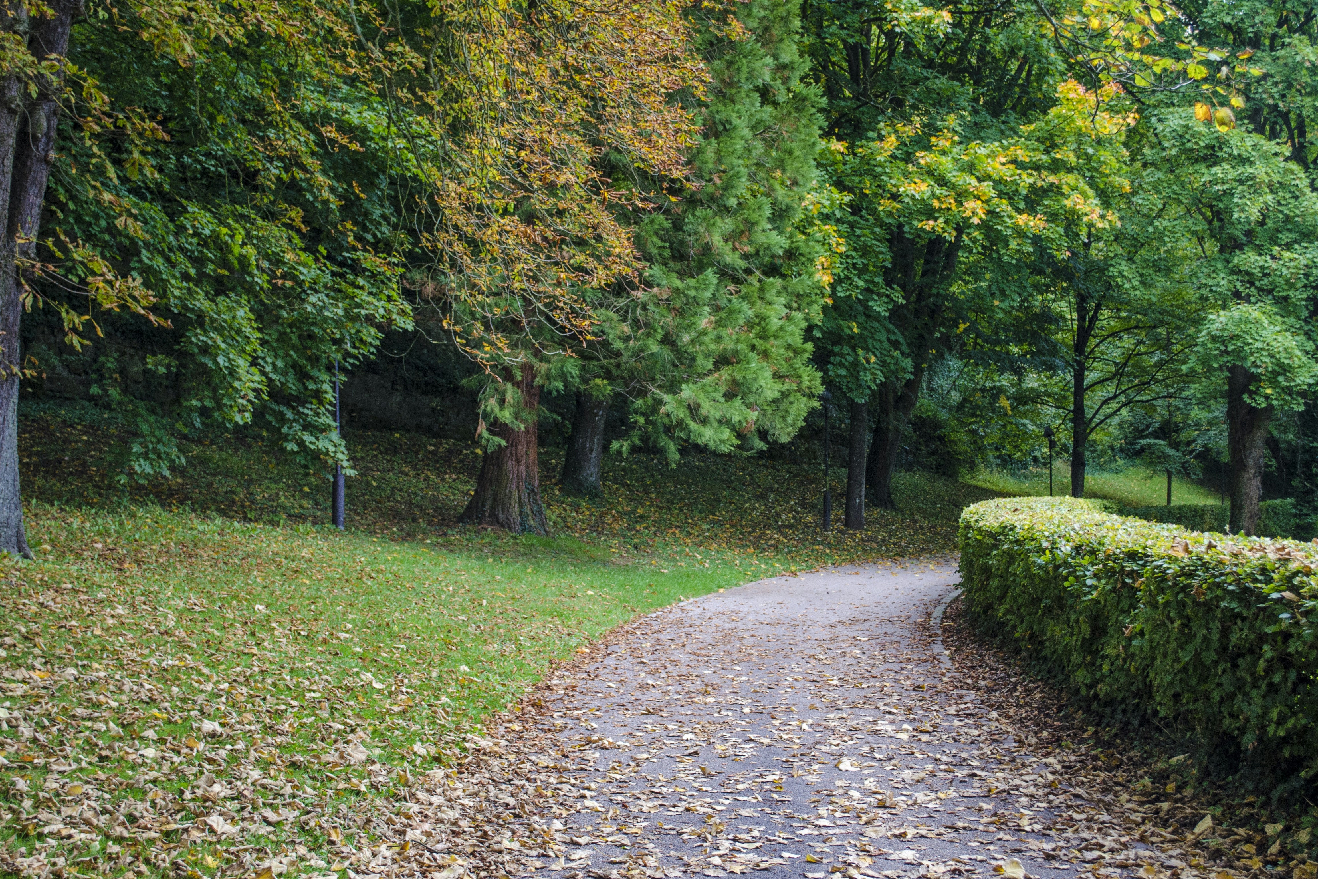 Photo by nazimcoskun