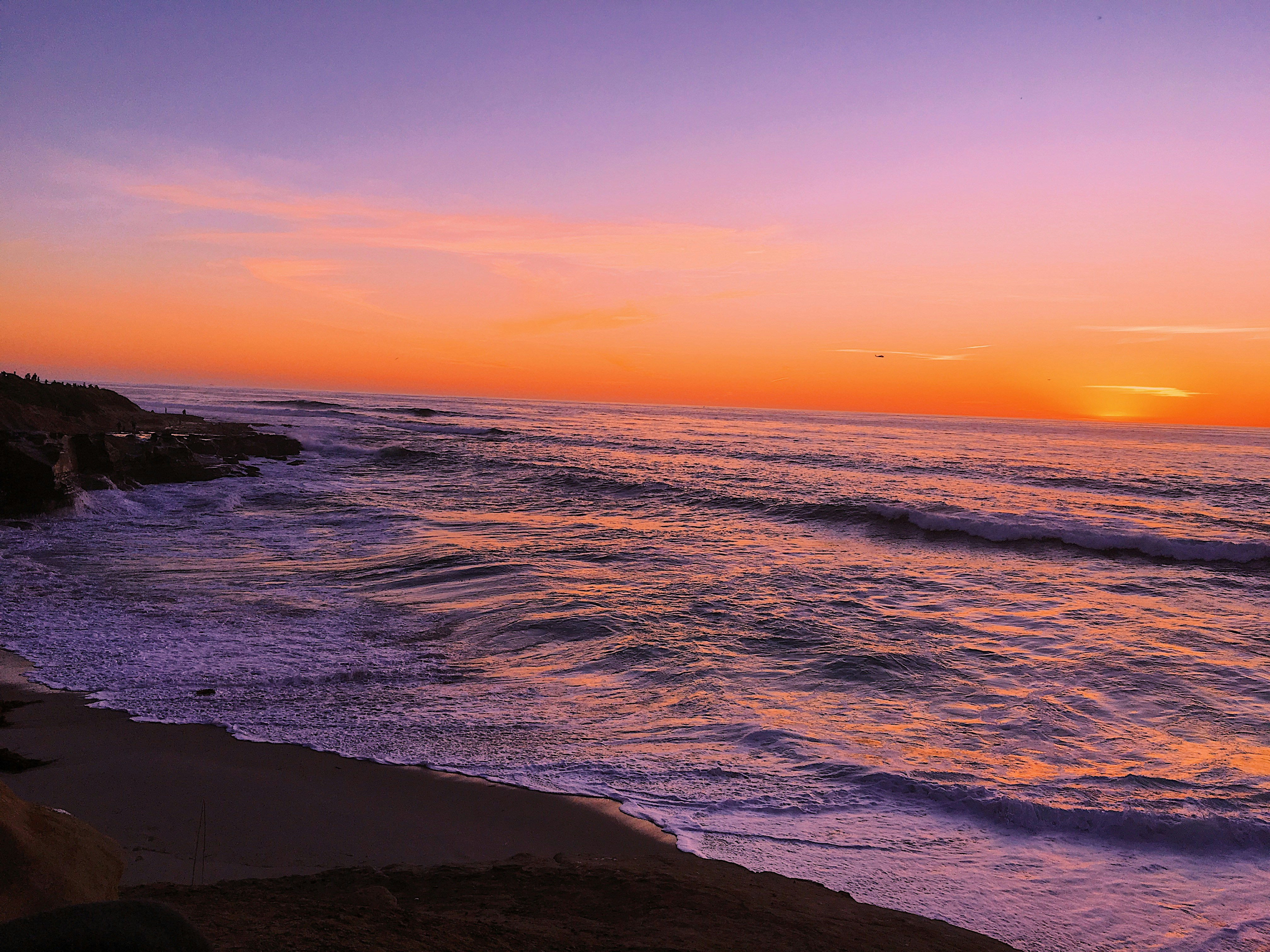 Photo by willowheisler