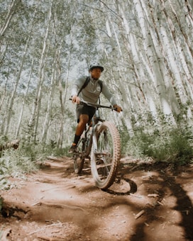 A person is riding a mountain bike on a dirt trail surrounded by tall, slender trees. The trees have thin trunks with white bark and are densely clustered, creating a serene and natural environment.