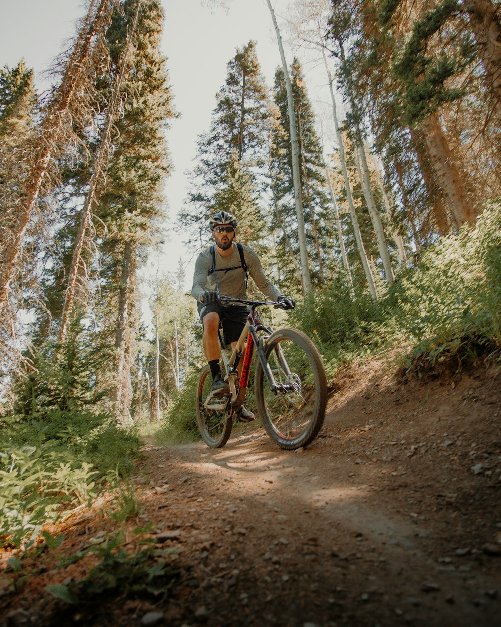 낮 동안 숲에서 산악 자전거를 타는 회색 셔츠를 입은 남자