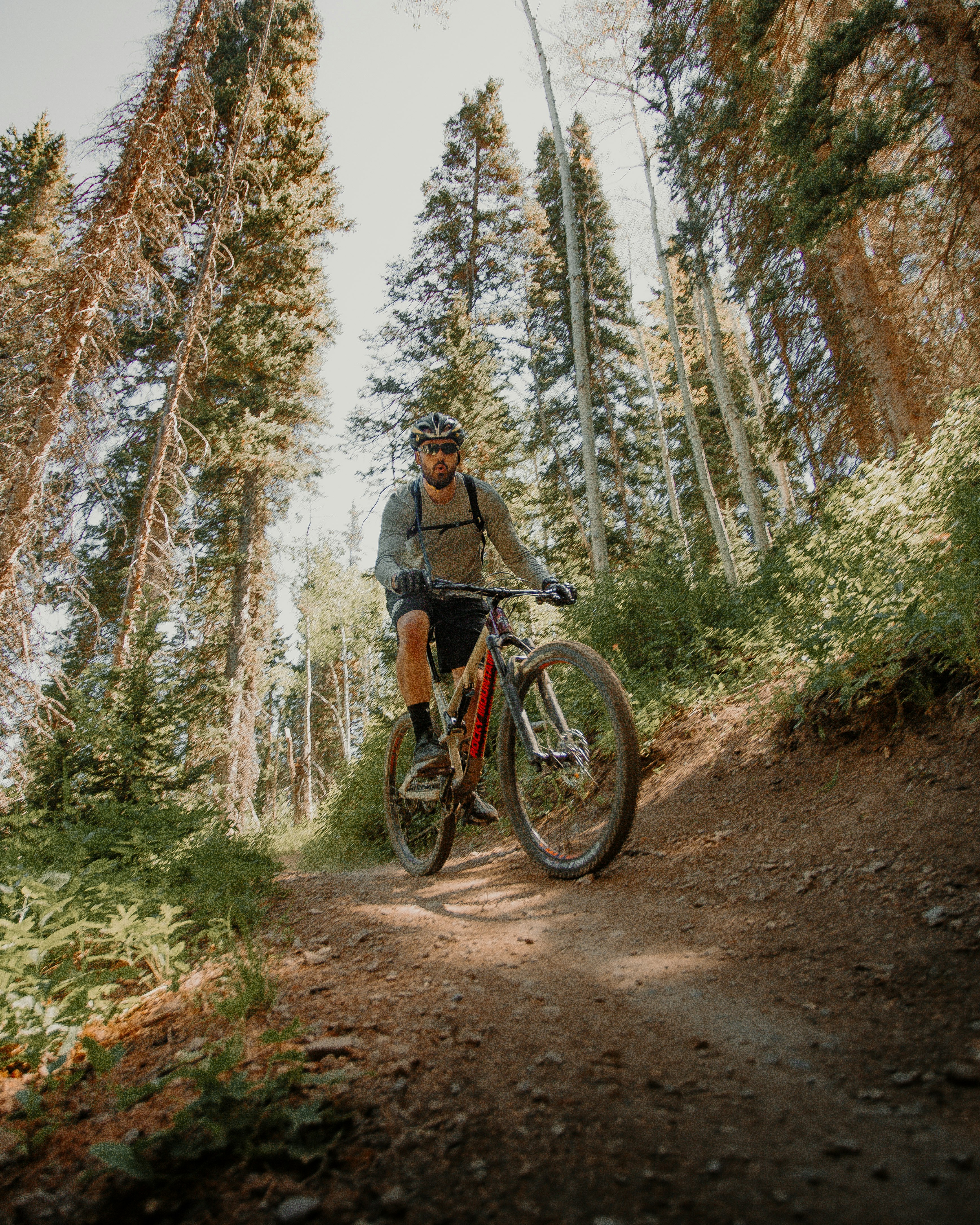 man in gray shirt riding on mountain bike in forest during daytime