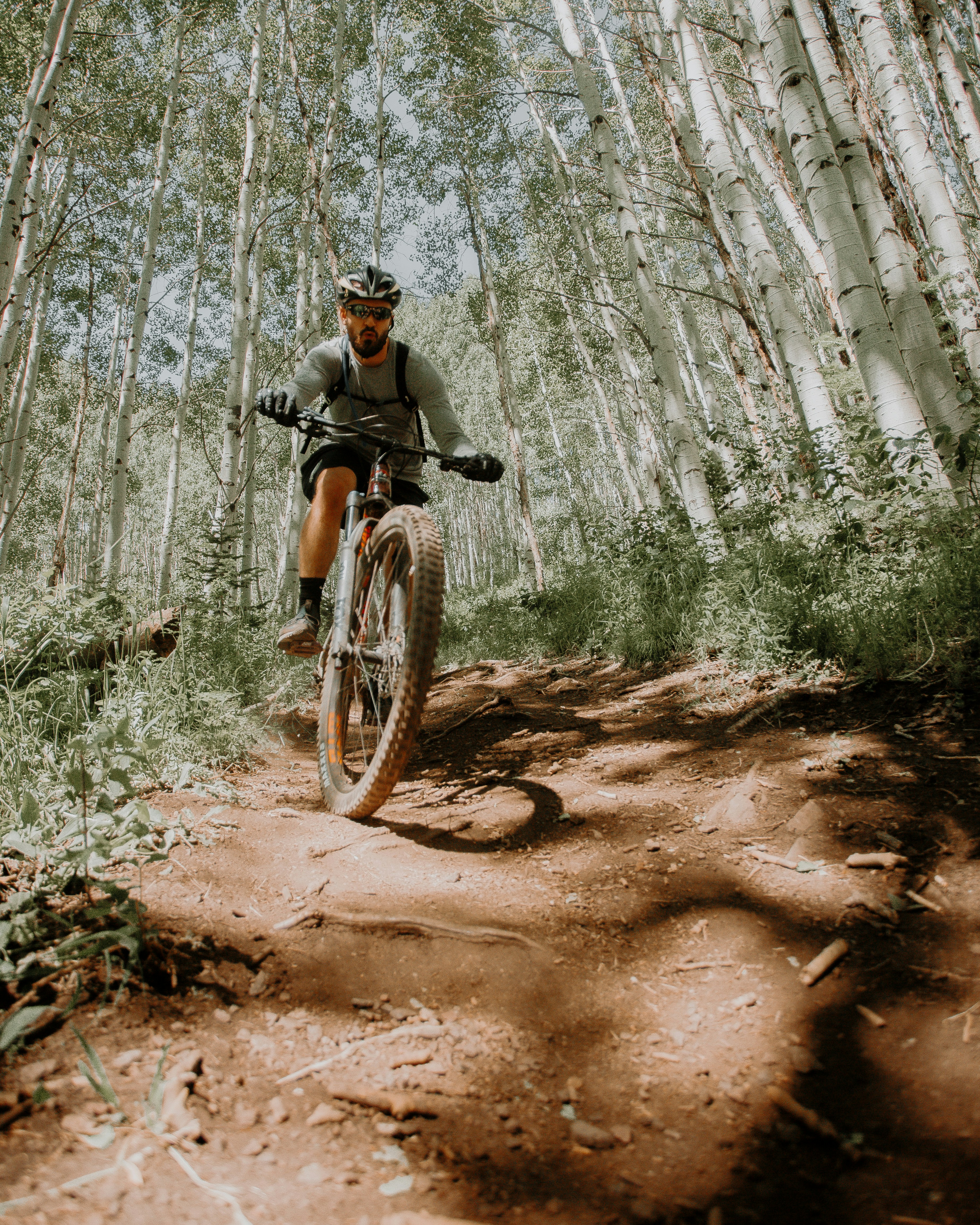 Best spots to mountain bike in Western, New York