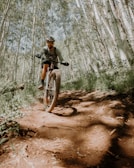 man riding on motorcycle in forest during daytime