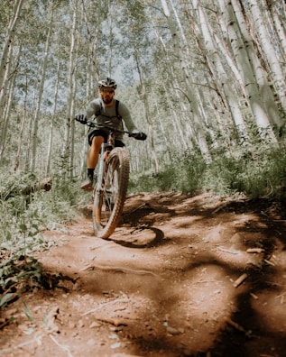 man riding on motorcycle in forest during daytime