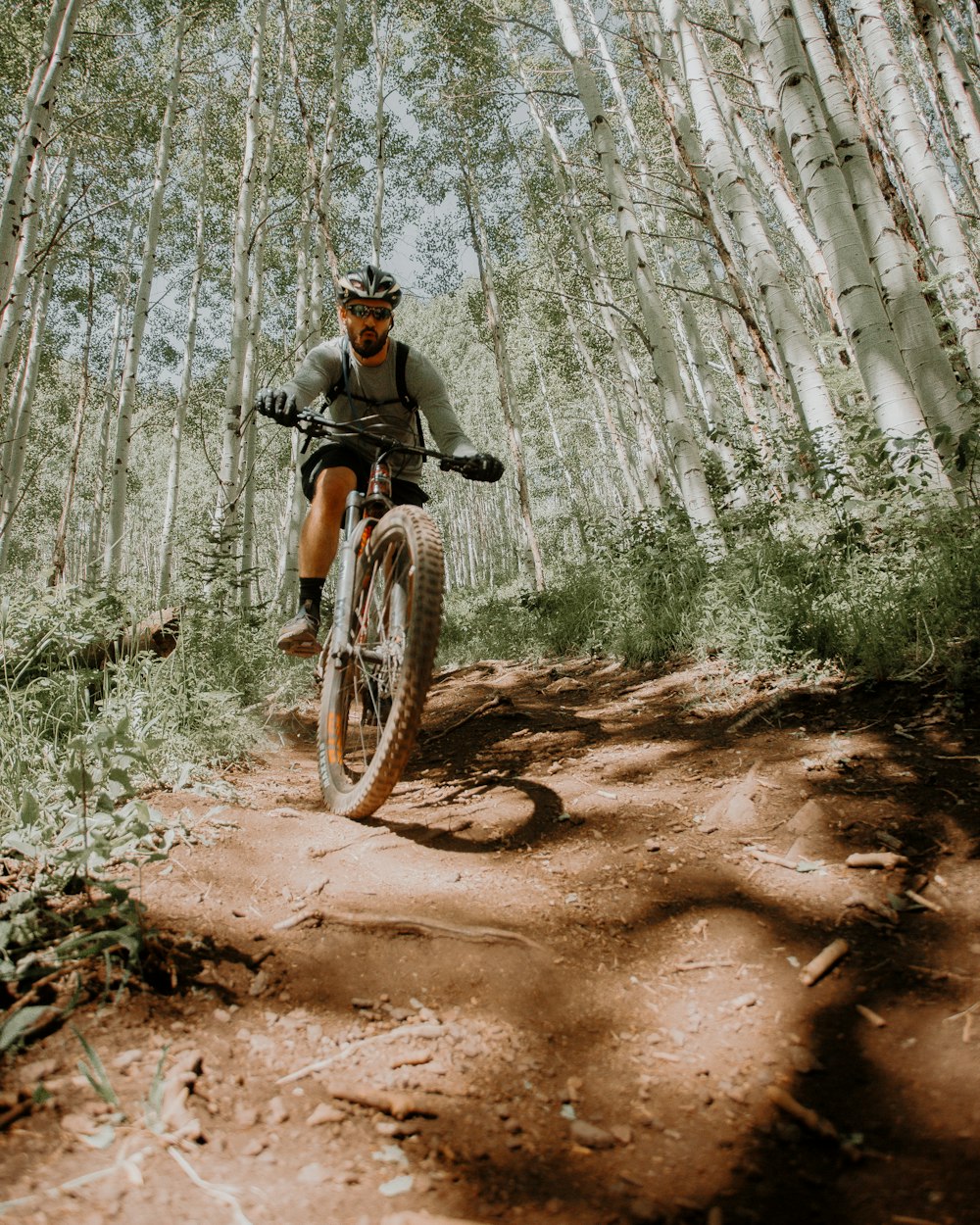 Mann, der tagsüber auf dem Motorrad im Wald fährt