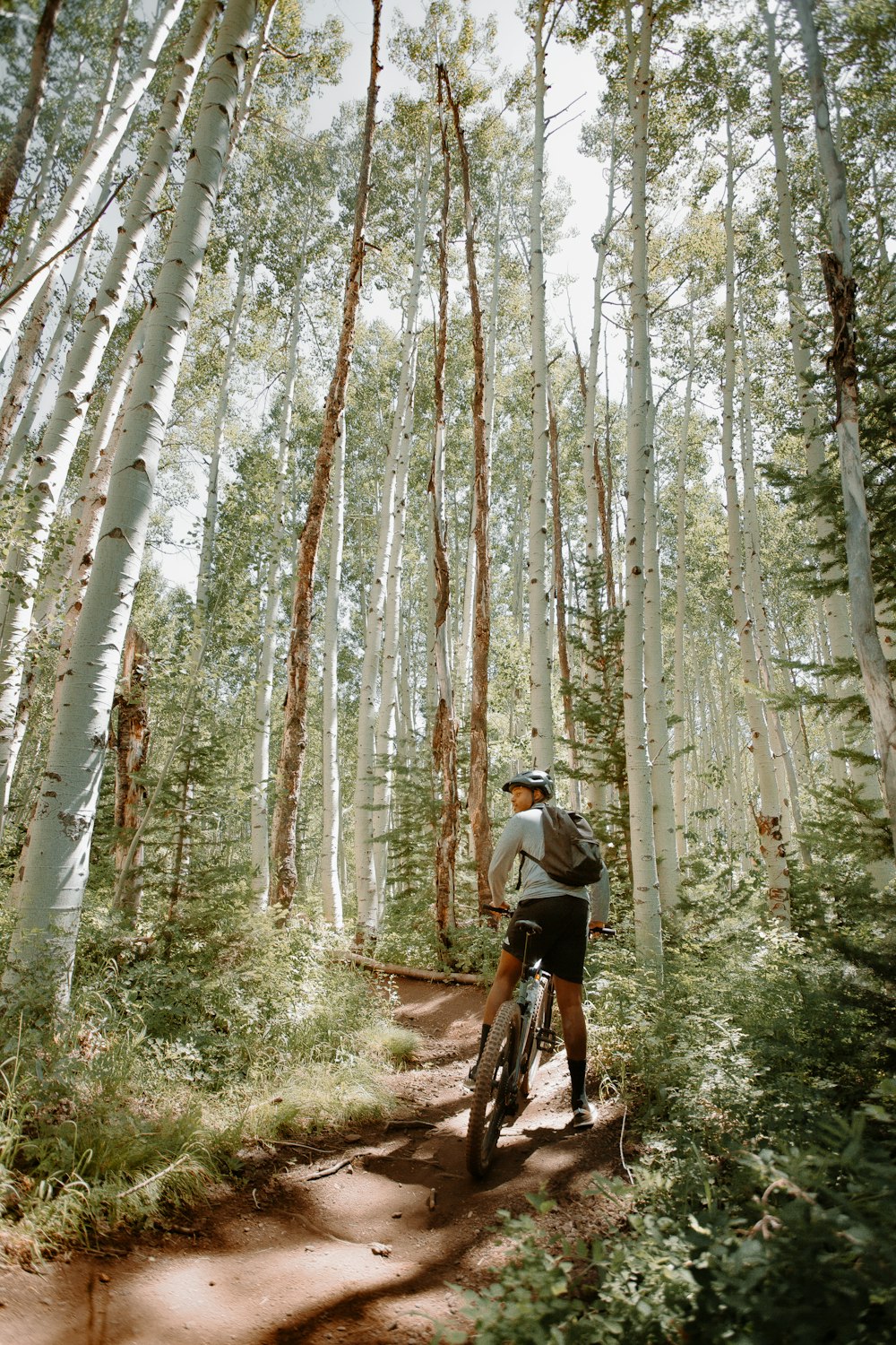검은 셔츠와 검은 반바지를 입은 남자가 낮 동안 숲에서 자전거를 타고 있다