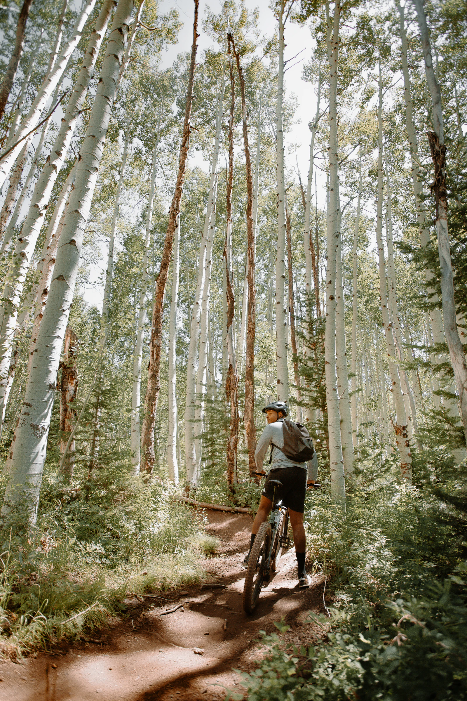 Park City mountain biking