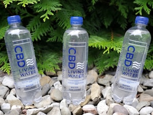 Three bottles of CBD Living Water are positioned among smooth pebbles with green foliage in the background. The bottles have blue caps and feature blue text with branding details. The setting is outdoors, providing a natural and refreshing backdrop.