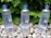 Three bottles of CBD Living Water are positioned among smooth pebbles with green foliage in the background. The bottles have blue caps and feature blue text with branding details. The setting is outdoors, providing a natural and refreshing backdrop.
