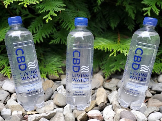 Three bottles of CBD Living Water are positioned among smooth pebbles with green foliage in the background. The bottles have blue caps and feature blue text with branding details. The setting is outdoors, providing a natural and refreshing backdrop.