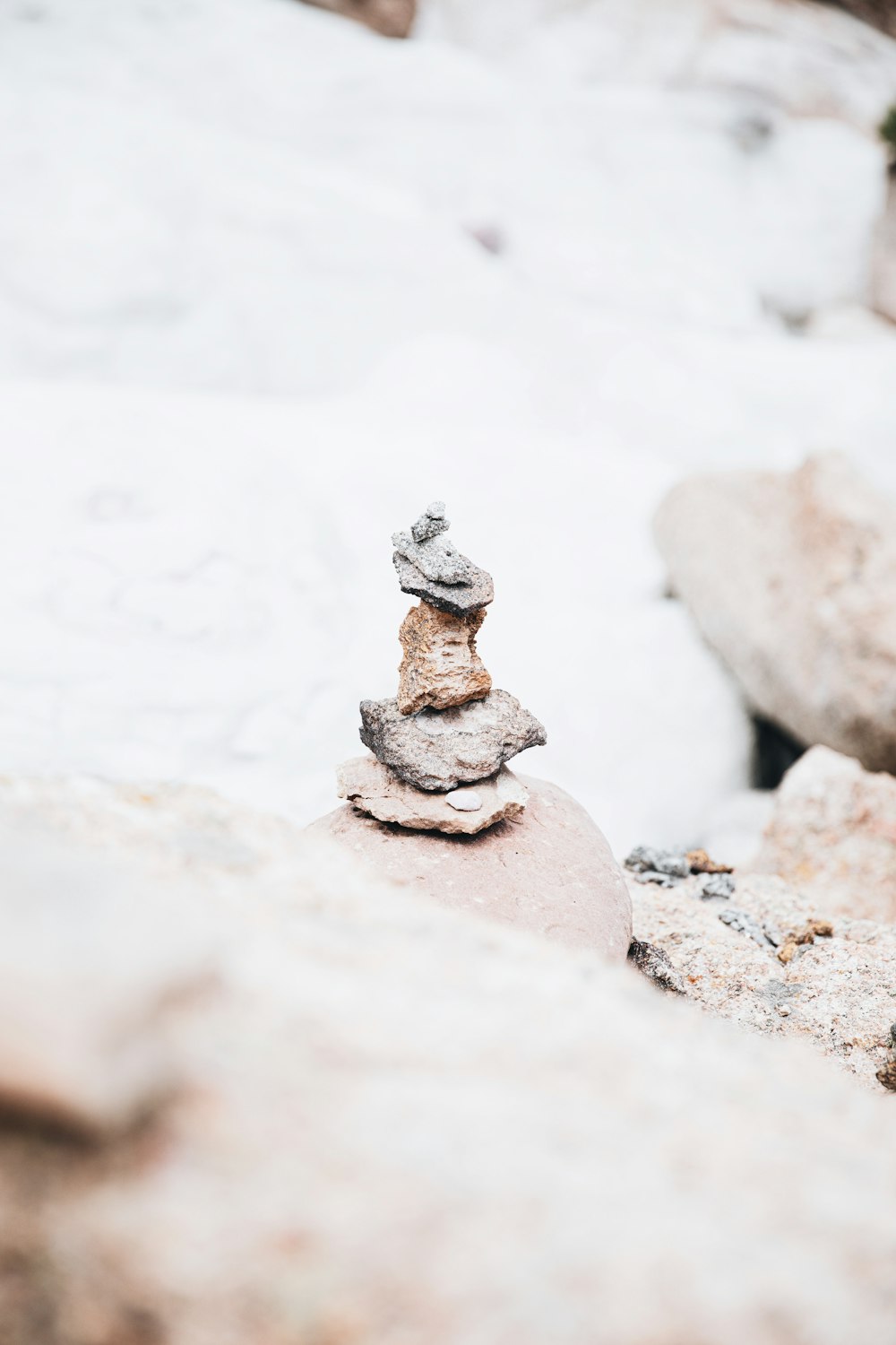 Graue und weiße Tierfigur auf weißem Felsen