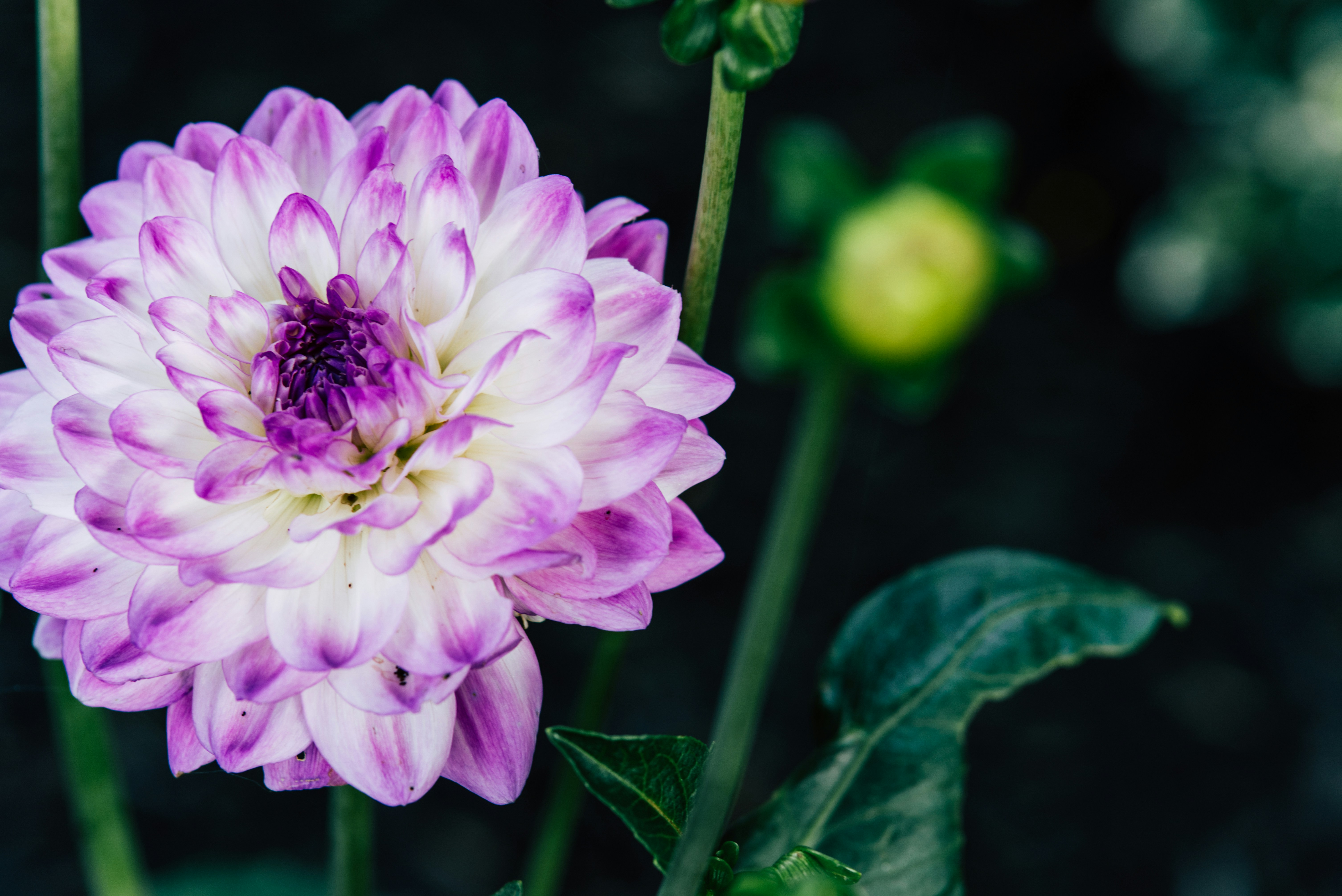 Photo by kolbymilton