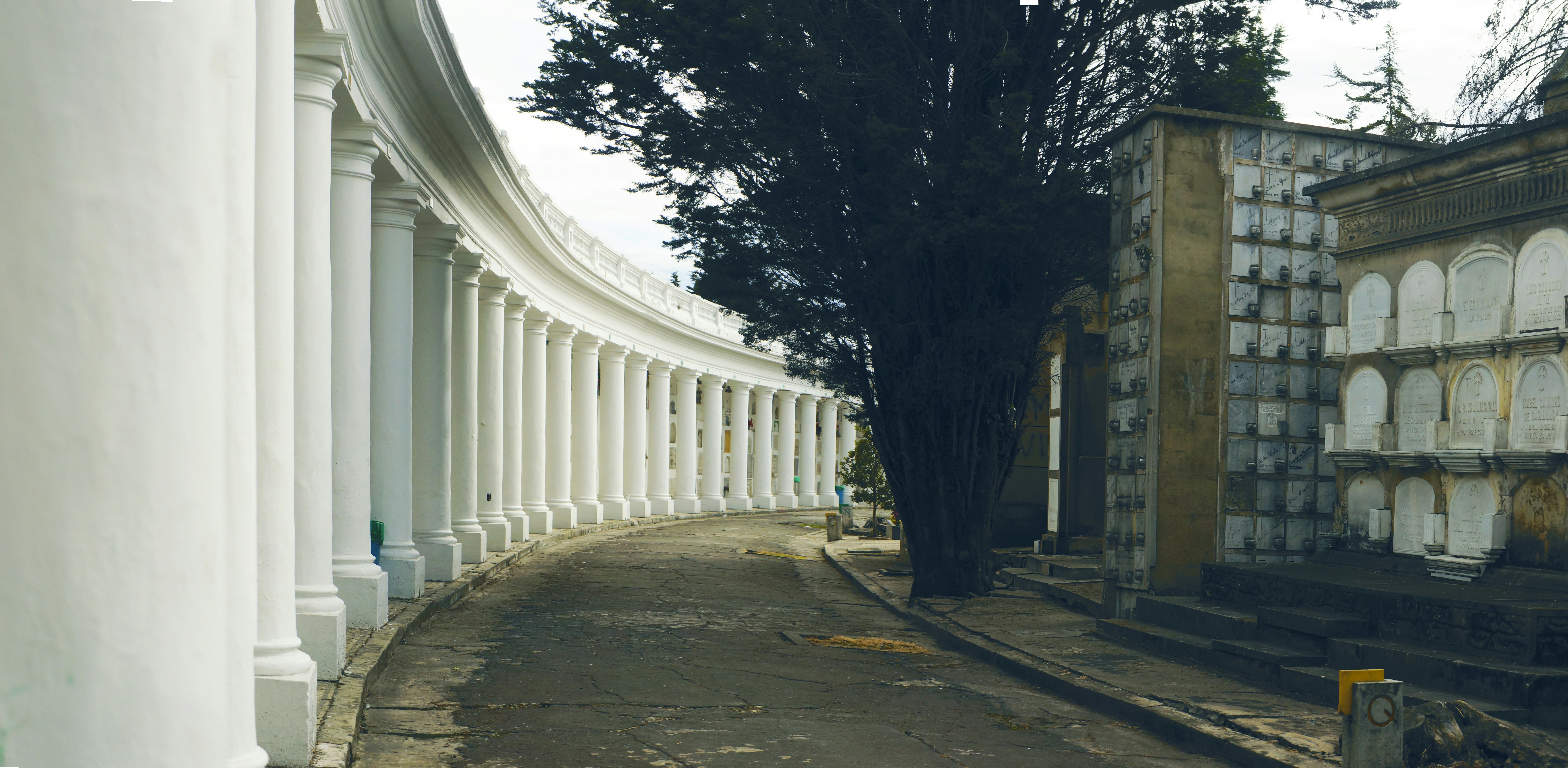 Photo by andresloquesea