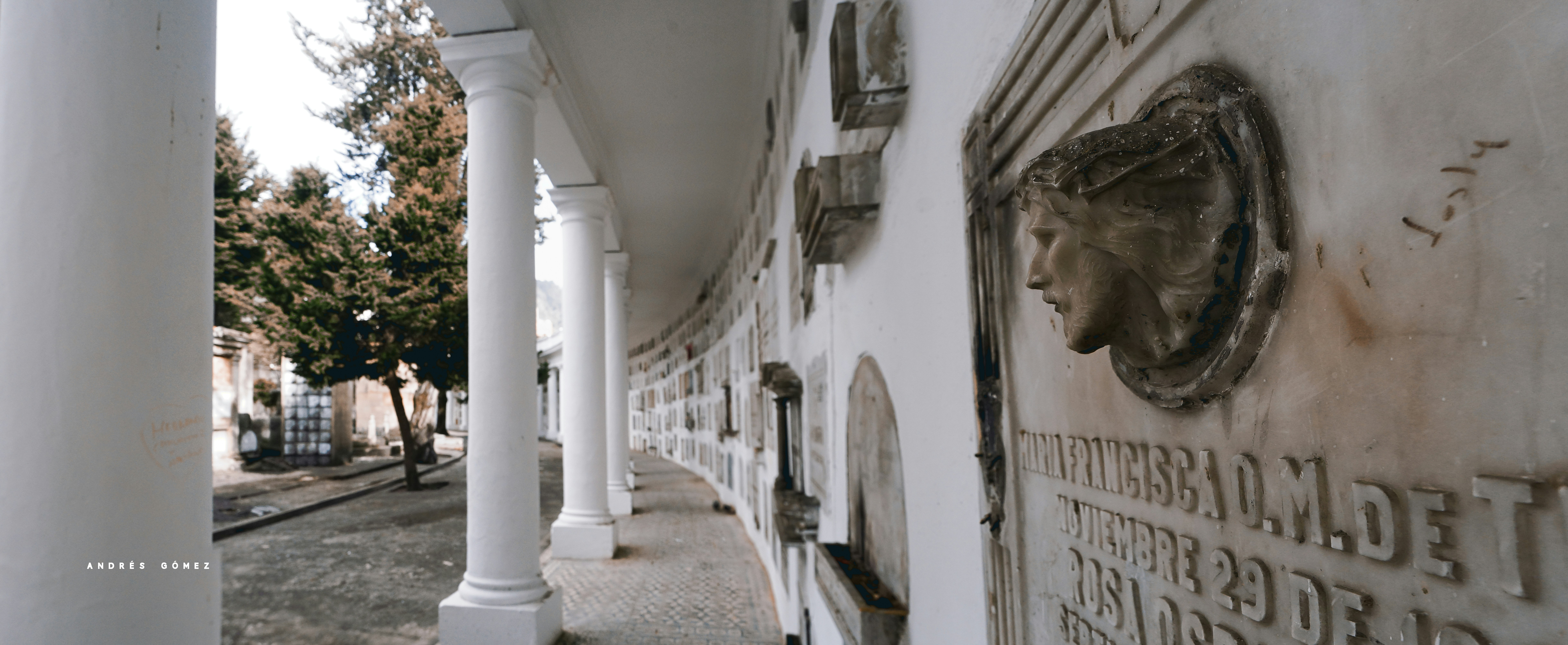 Photo by andresloquesea