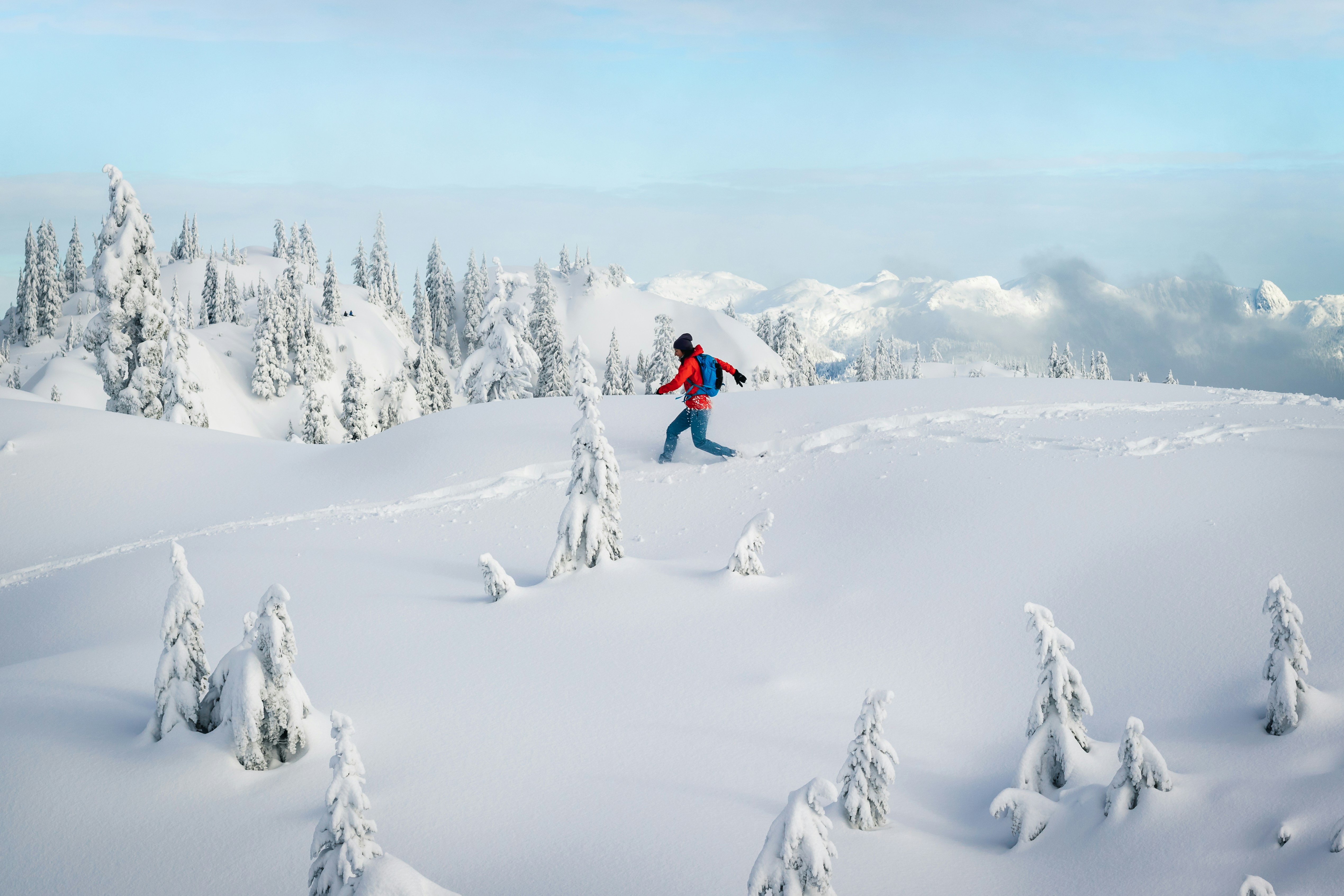 ski