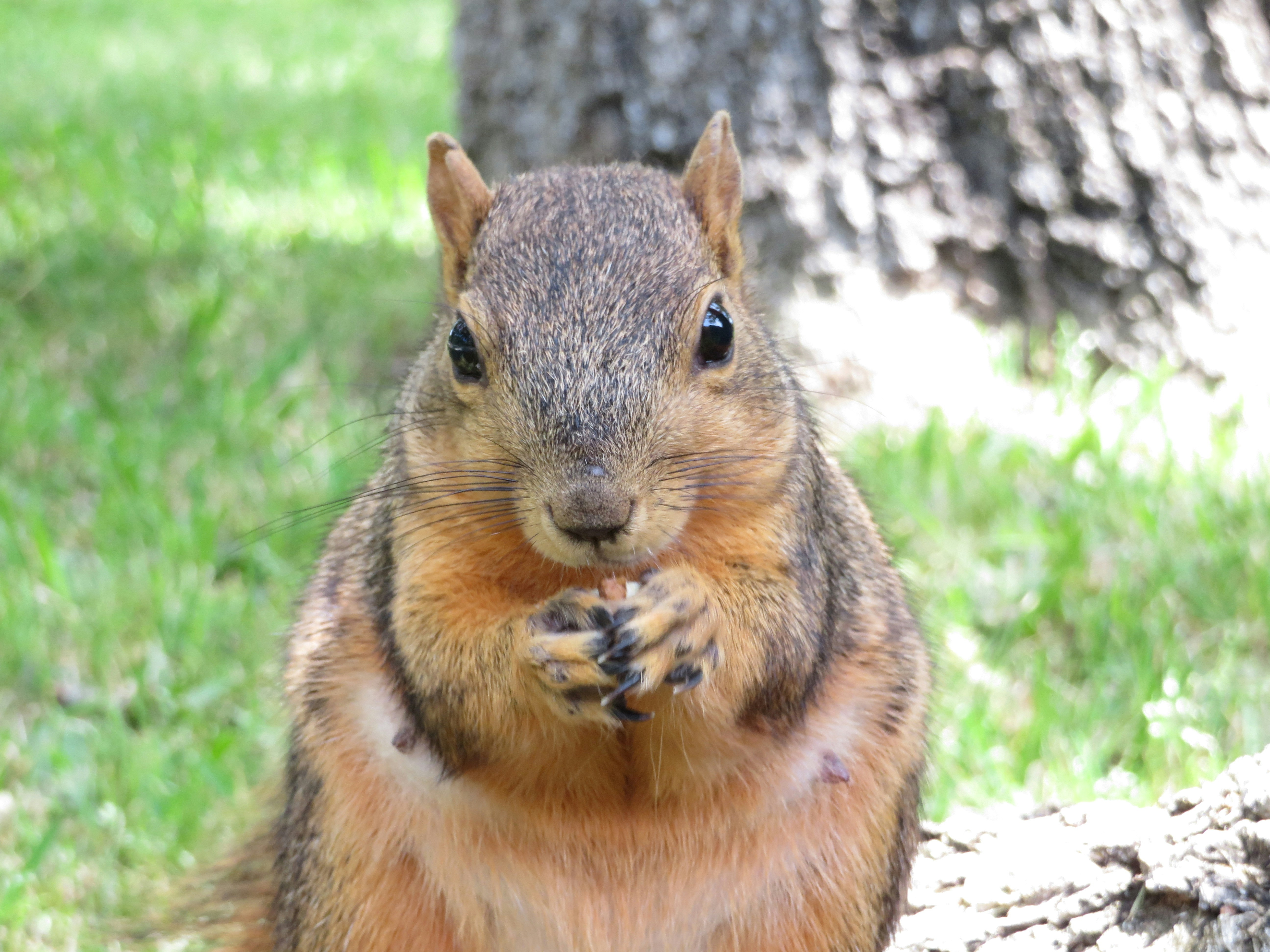 Photo by marcie_kennedy