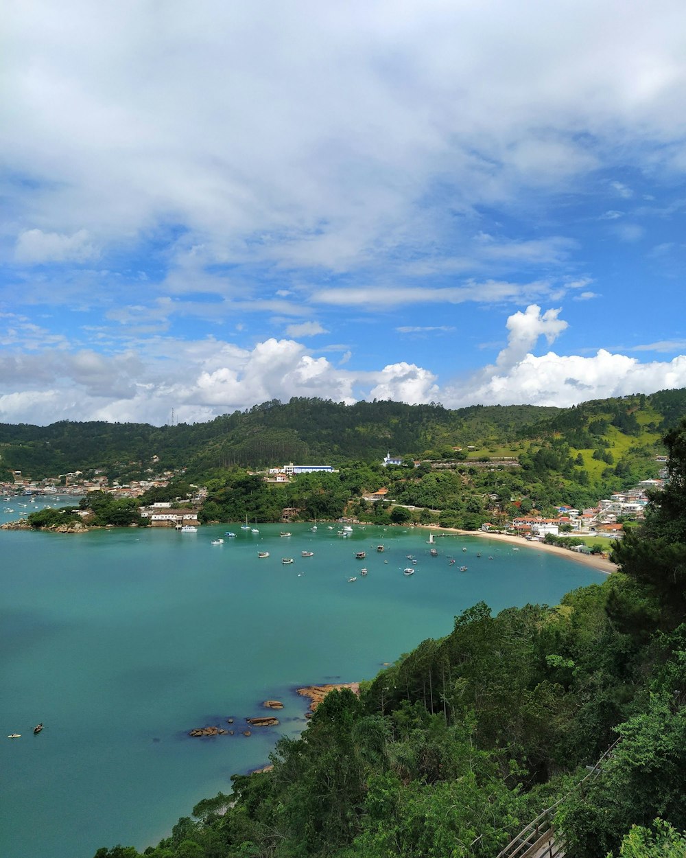 green trees near body of water under blue sky during daytime