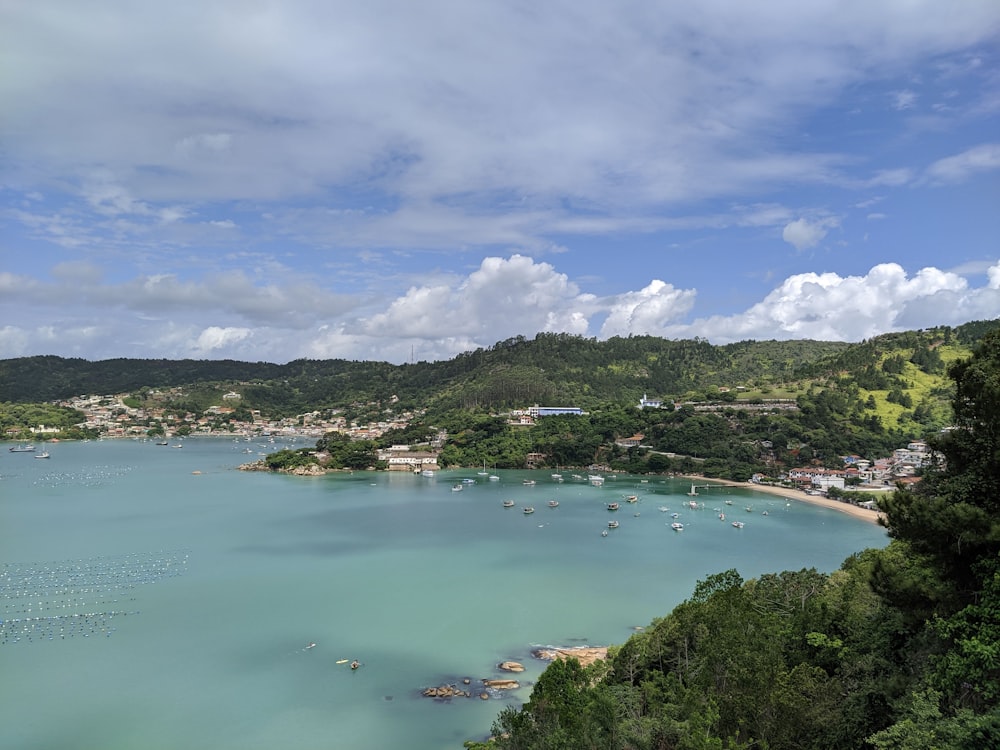 green trees near body of water under white clouds and blue sky during daytime