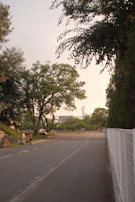 A peaceful morning walk along a tree-lined neighborhood street.