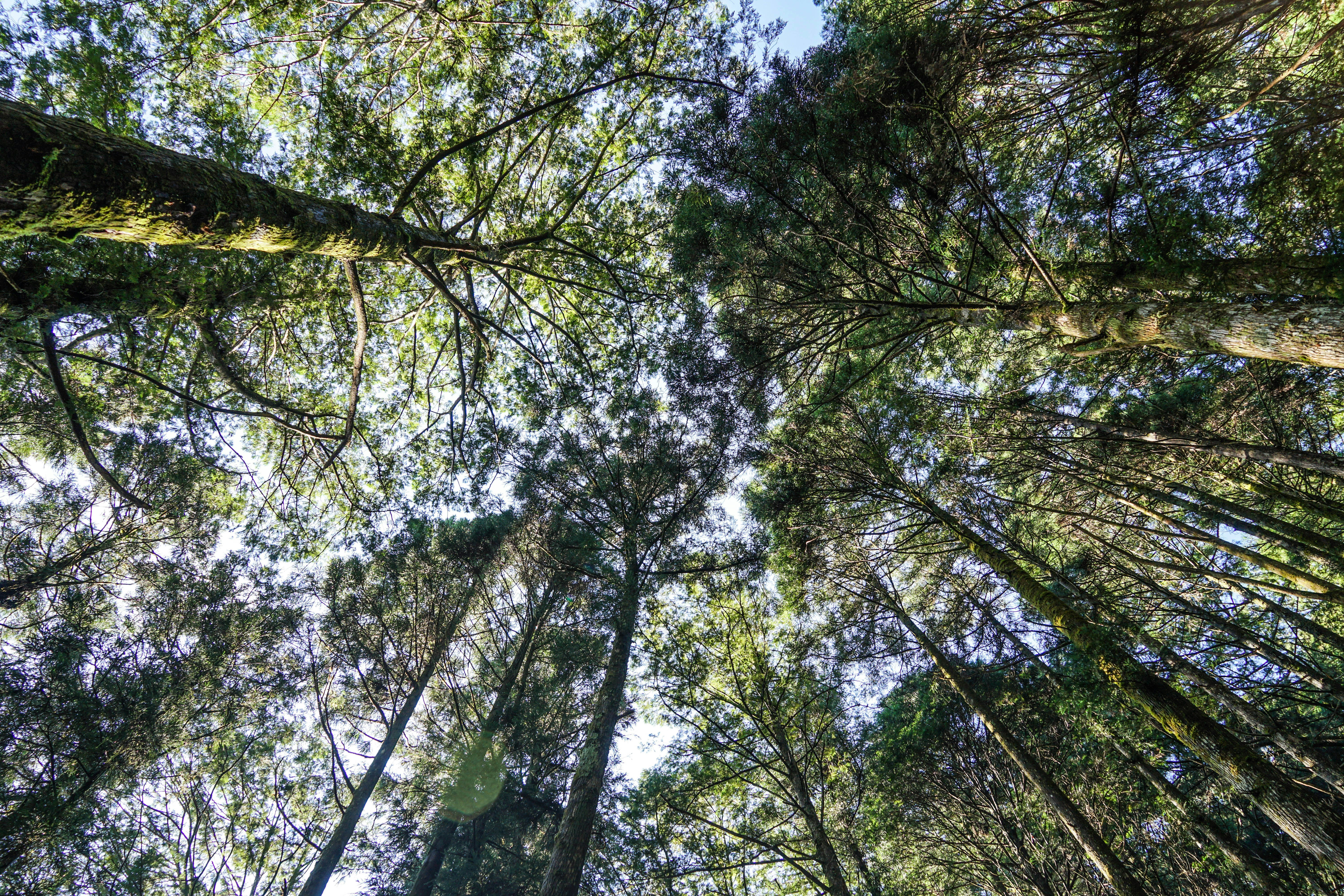 Photo by maggie__1105