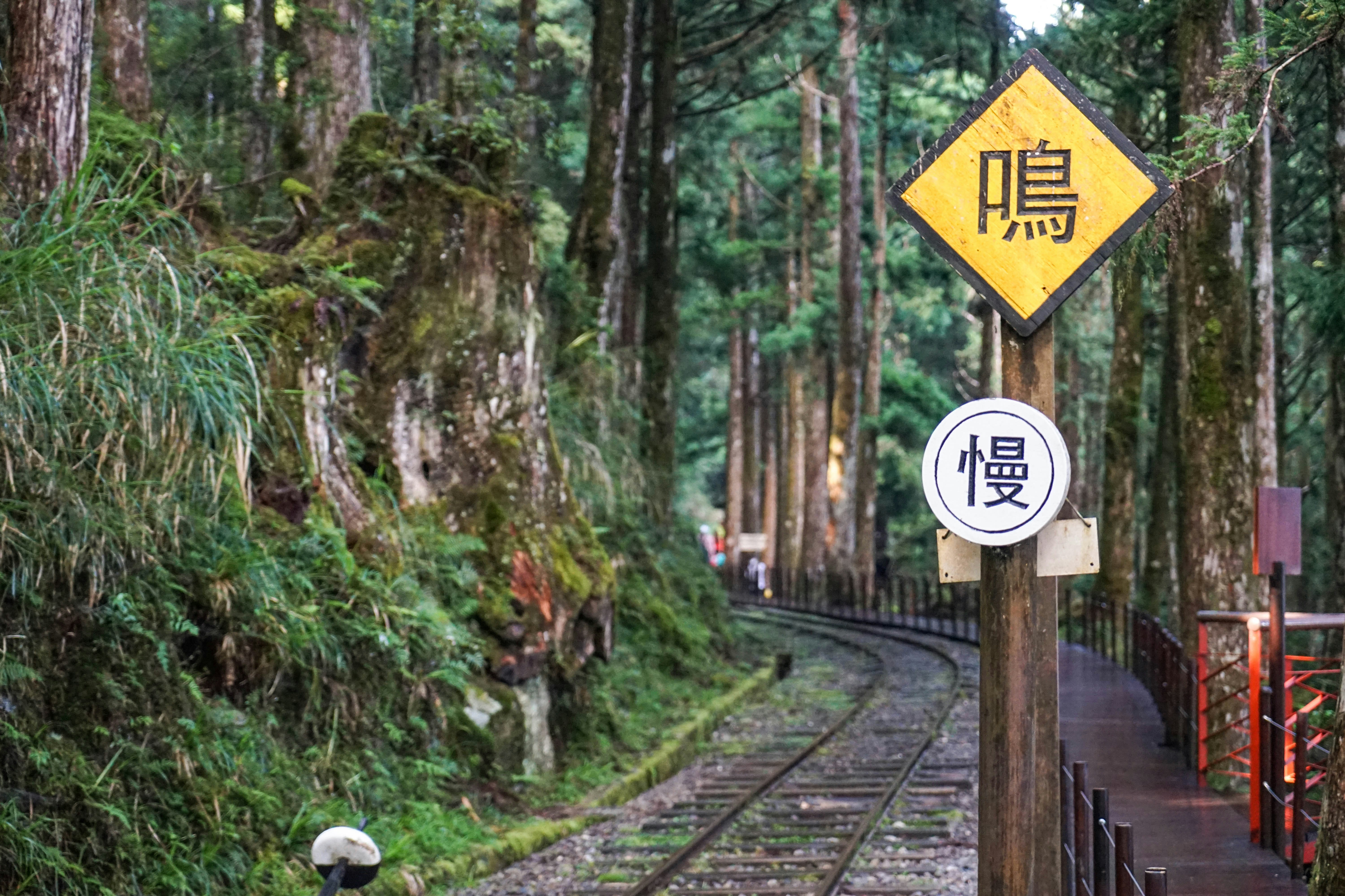 Photo by maggie__1105