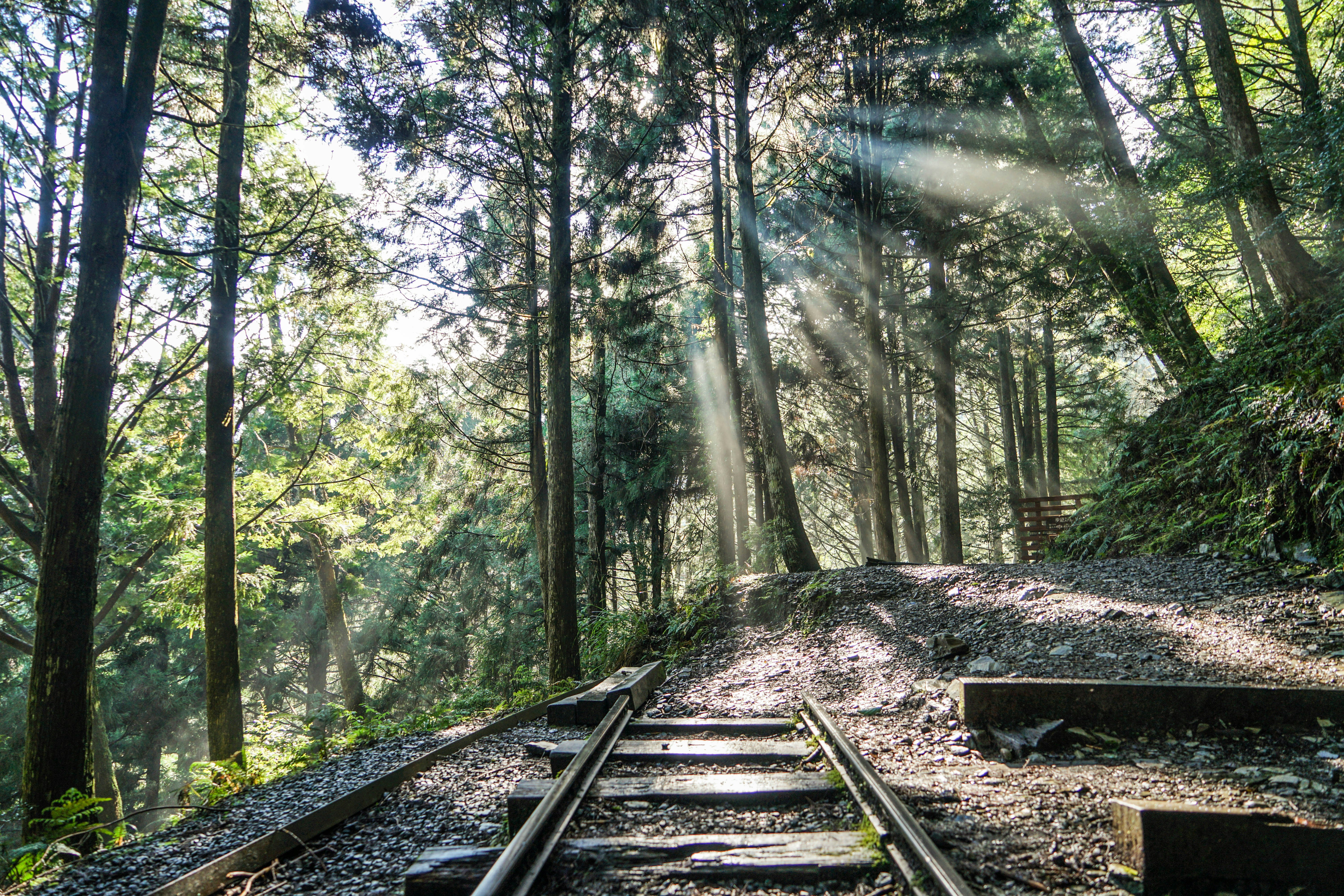 Farm to Table: A Newsletter on All Things Data and AI