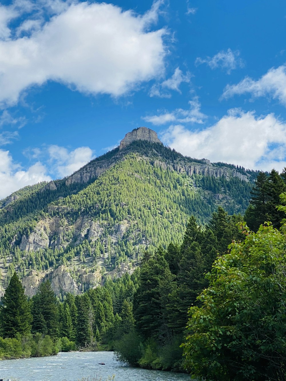 árvores verdes na montanha sob o céu azul durante o dia