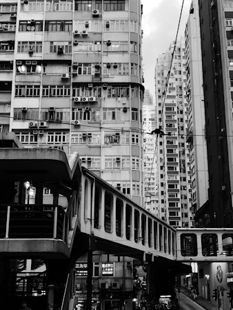 Exploring Urban Living: Practical Insights and Community Voices