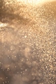 water droplets on brown surface