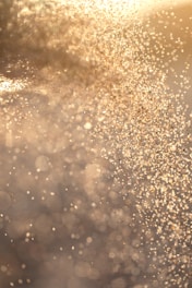 water droplets on brown surface