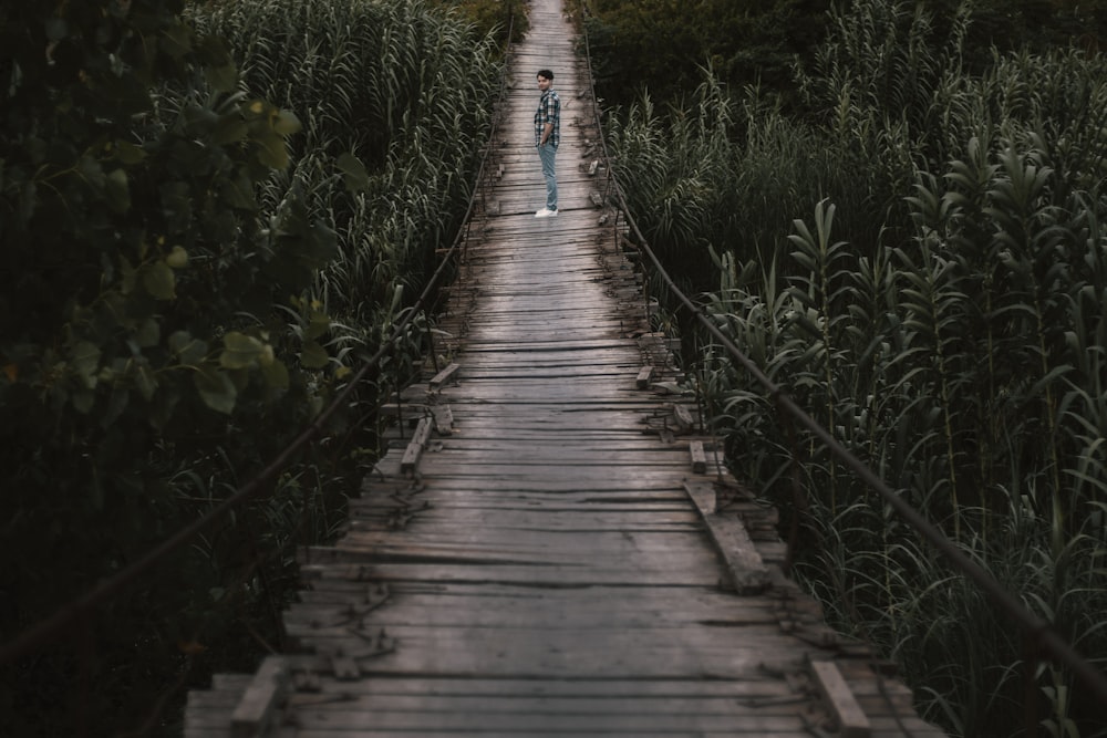 brown wooden bridge in the middle of green plants